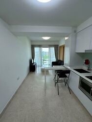 Eight Riversuites (D12), Condominium #576231641